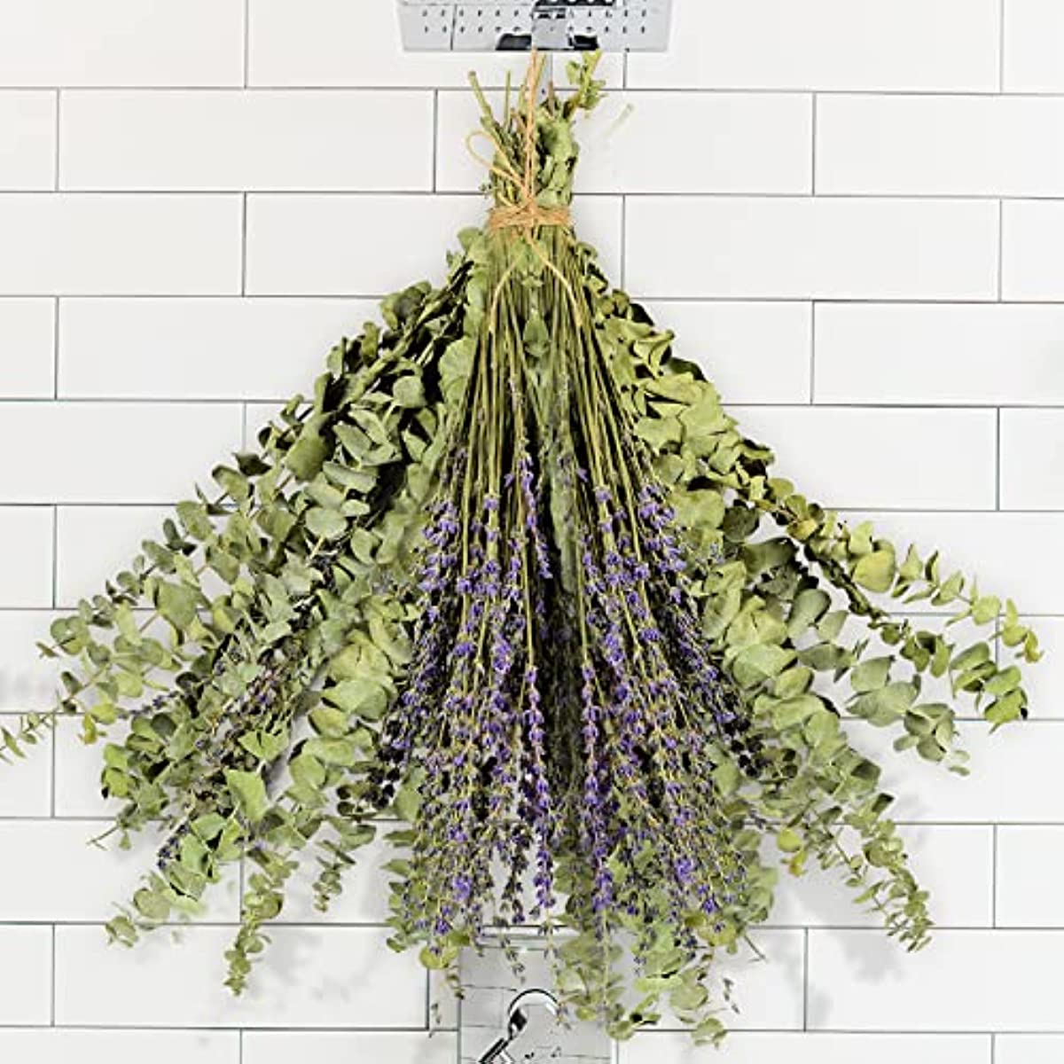 dried_flower - preserved_flower - fake_flower - 120Pcs Dried Eucalyptus Stems & Lavender Flowers Bundle 17'' Natural Real Leaves - Molly Garden - Molly_Garden_Floral
