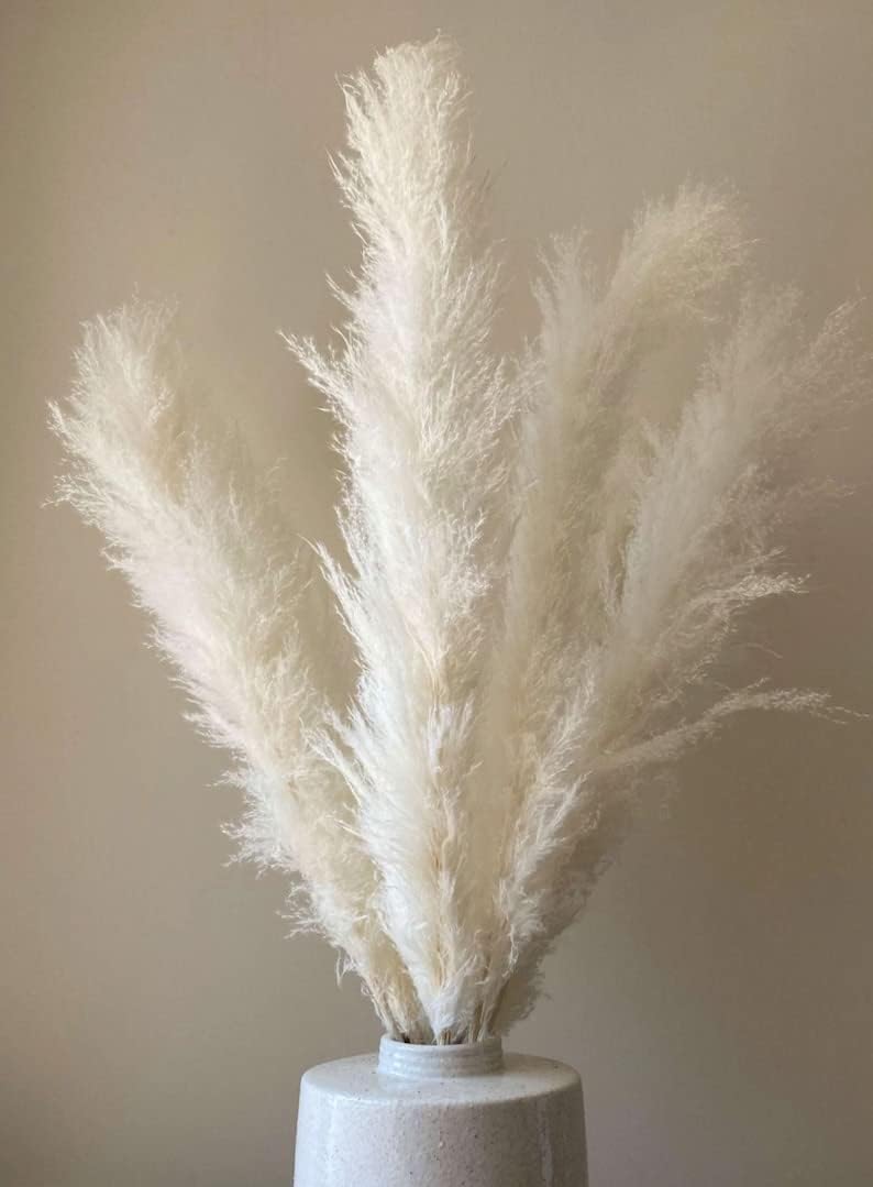 dried_flower - preserved_flower - fake_flower - Extra Large White Dried Pampas Grass 3 to 4ft Dry Flowers Boho Home Decor - Molly Garden - Molly_Garden_Floral