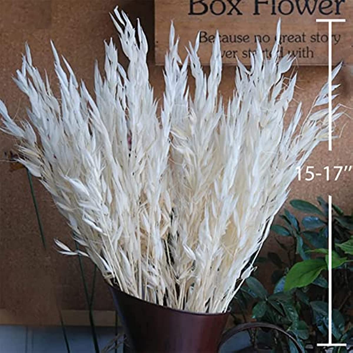 dried_flower - preserved_flower - fake_flower - 40Stems Dried White Oat Flowers 17'' Real  Natural Bleached Avena Wheat Bunch - Molly Garden - Molly_Garden_Floral