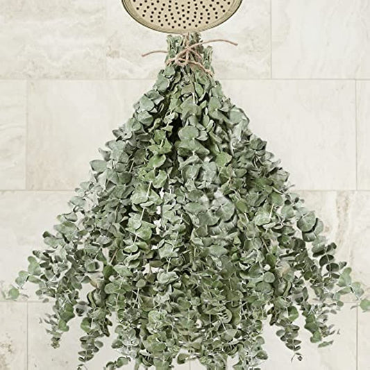 dried_flower - preserved_flower - fake_flower - 30Pcs Dried Eucalyptus Stems 17" Real Live Branches Plant Leaves Decor - Molly Garden - Molly_Garden_Floral