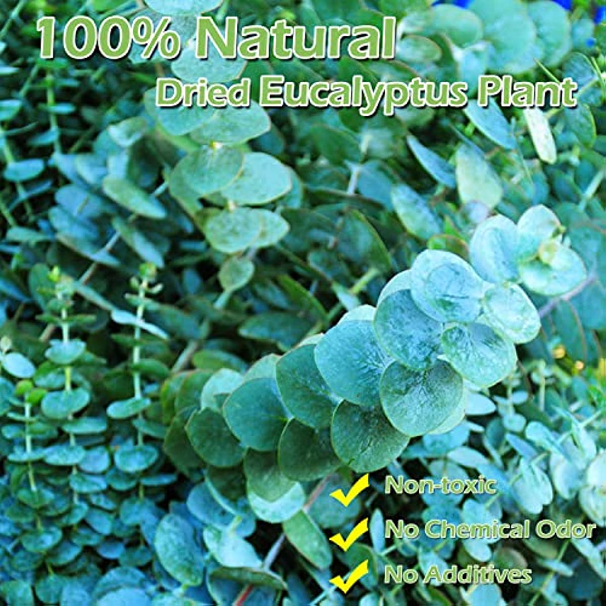 dried_flower - preserved_flower - fake_flower - 16Pcs Dried 100% Natural Real Fresh Eucalyptus Plant Stems for Shower - Molly Garden - Molly_Garden_Floral