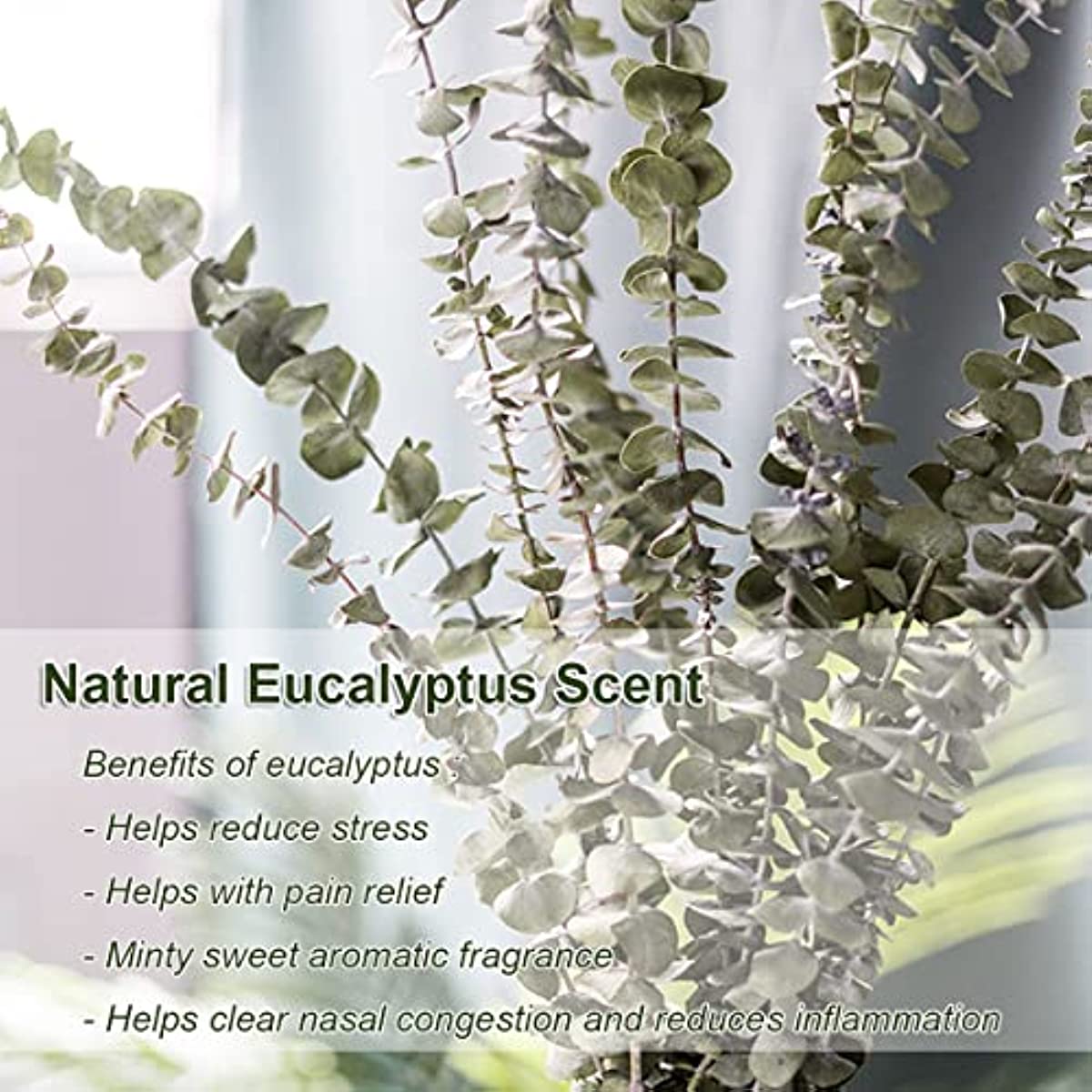 dried_flower - preserved_flower - fake_flower - 16Pcs Dried 100% Natural Real Fresh Eucalyptus Plant Stems for Shower - Molly Garden - Molly_Garden_Floral