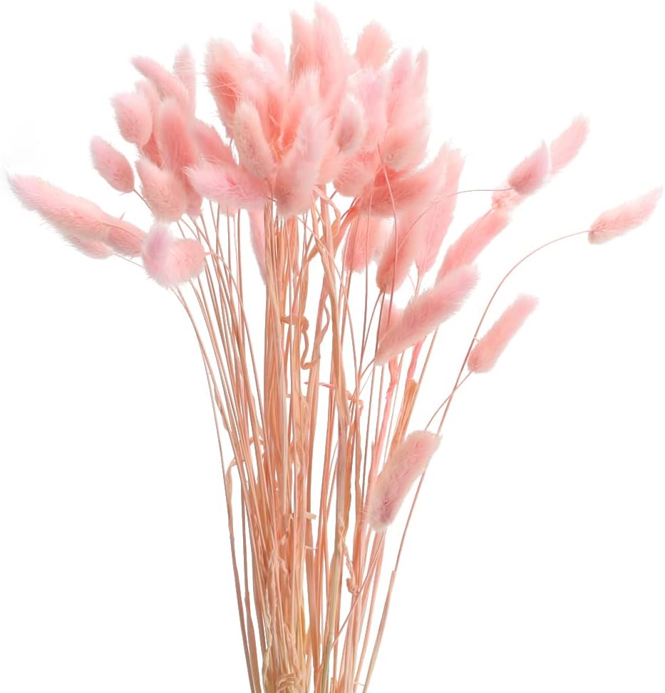 dried_flower - preserved_flower - fake_flower - 120Pcs Dried Bunny Tails Flowers Rabbit Tail Grass Lagurus Ovatus Bouquet - Molly Garden - Molly_Garden_Floral