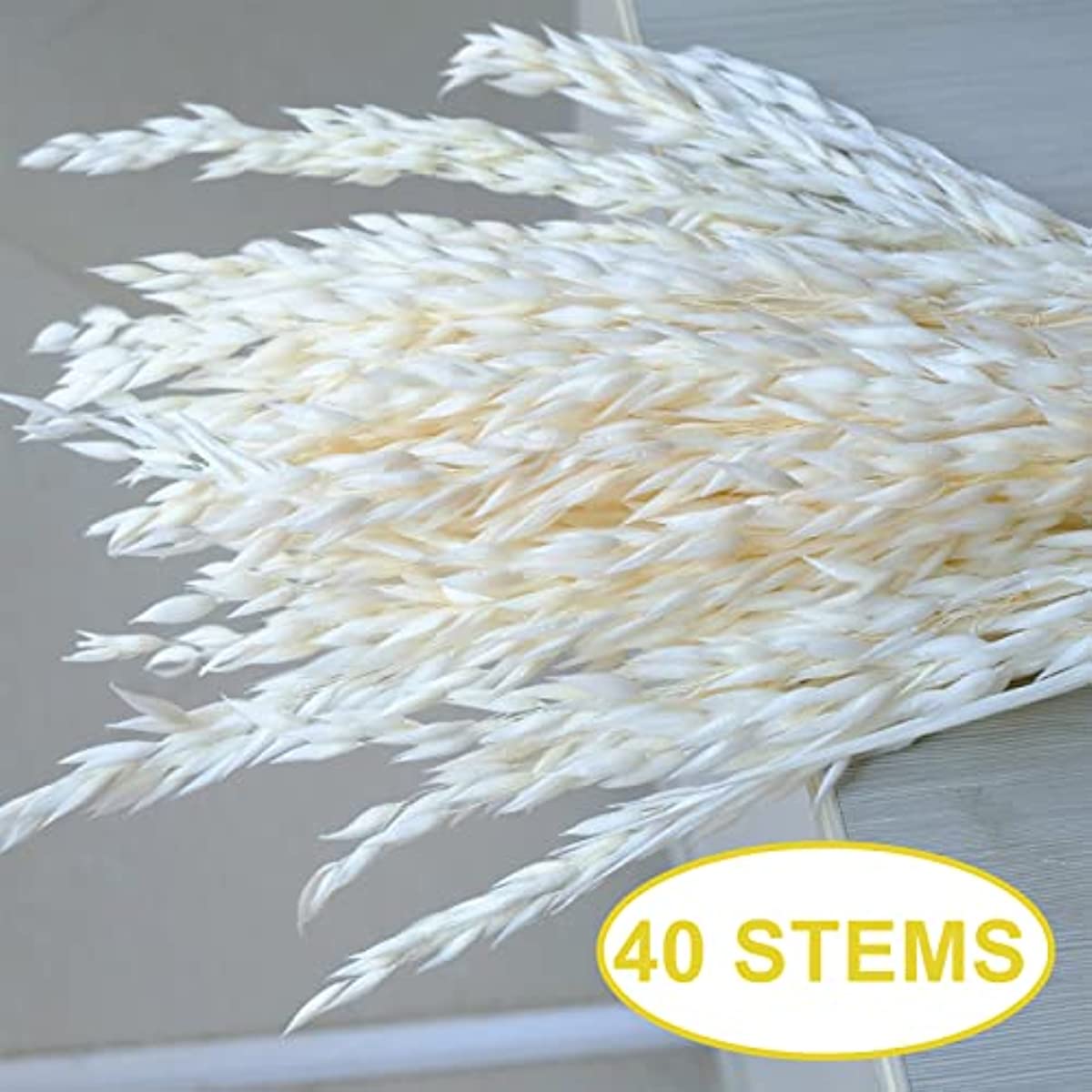 dried_flower - preserved_flower - fake_flower - 40Stems Dried White Oat Flowers 17'' Real  Natural Bleached Avena Wheat Bunch - Molly Garden - Molly_Garden_Floral
