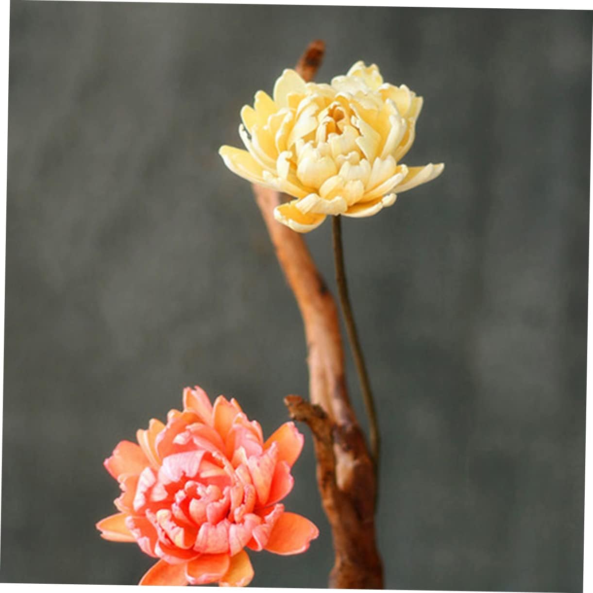 dried_flower - preserved_flower - fake_flower - 2Pcs Dried Flowers Decor Wedding Bouquets Plants Natural Preserved Florals - Molly Garden - Molly_Garden_Floral