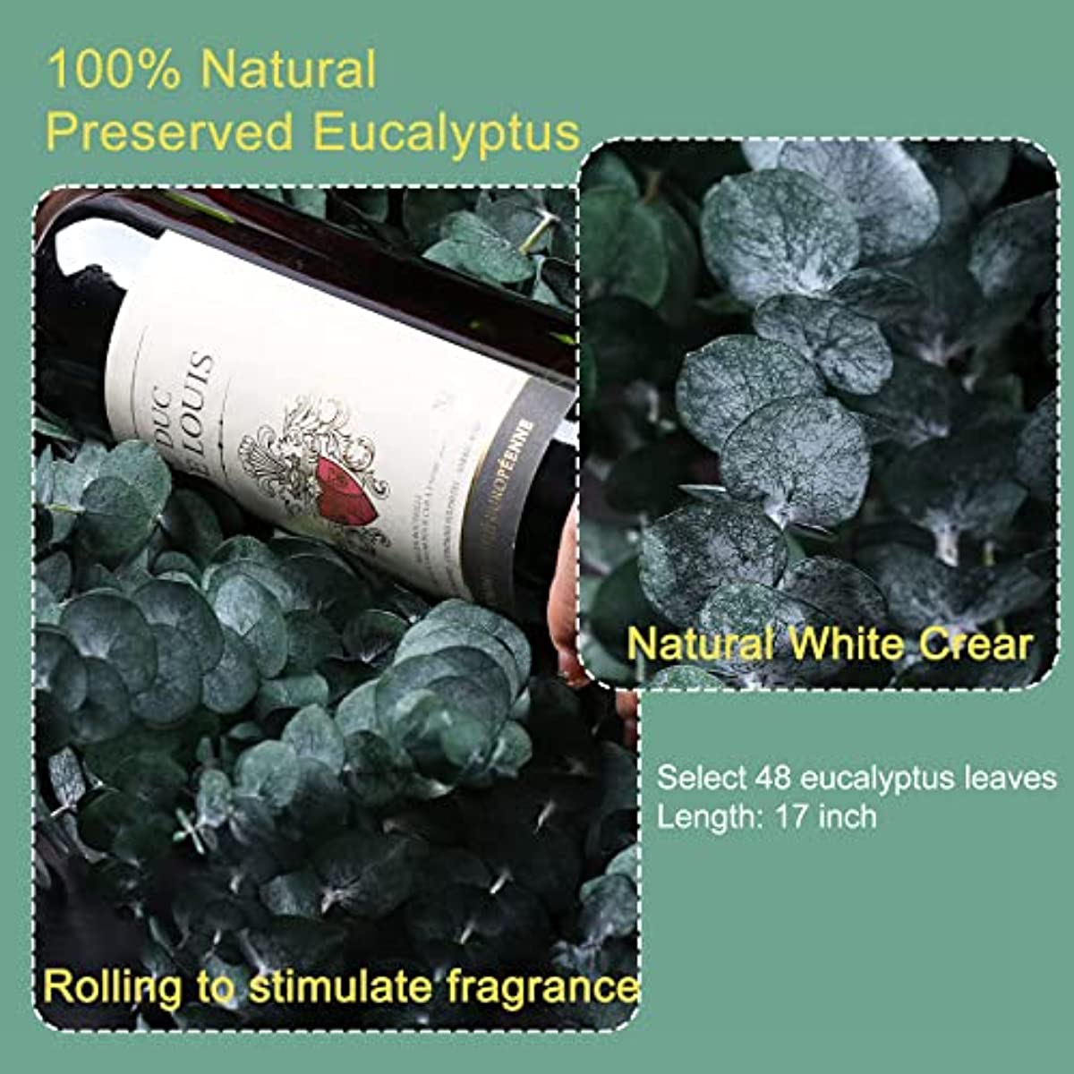 dried_flower - preserved_flower - fake_flower - 48PCS Large Dried Preserved Eucalyptus Stems 100% Natural Fresh Plant - Molly Garden - Molly_Garden_Floral