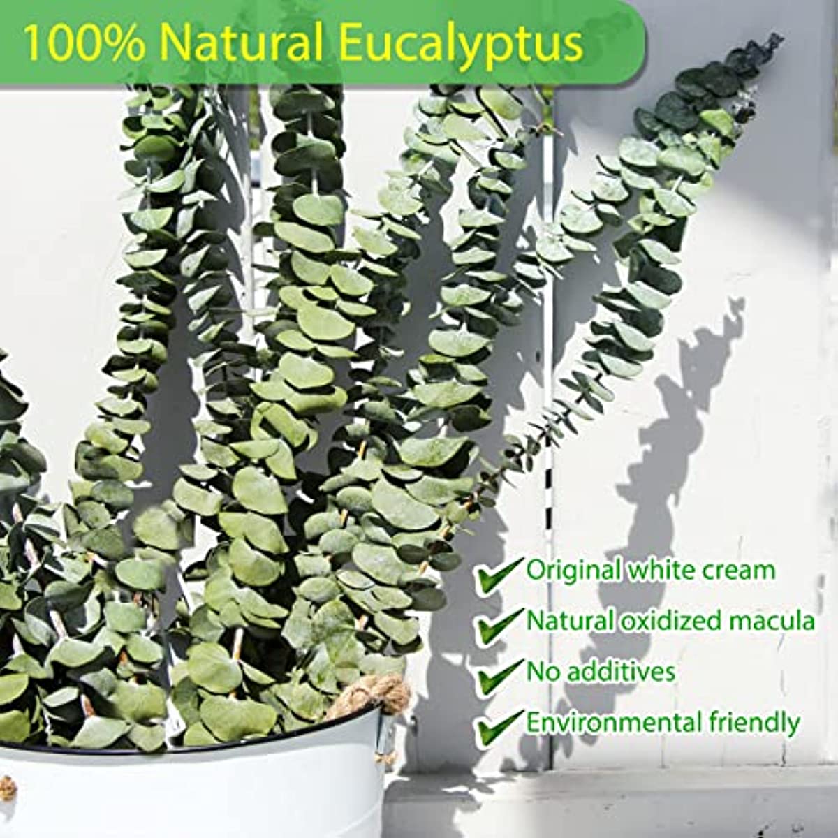 dried_flower - preserved_flower - fake_flower - 30Pcs Dried Eucalyptus Stems 17" Real Live Branches Plant Leaves Decor - Molly Garden - Molly_Garden_Floral
