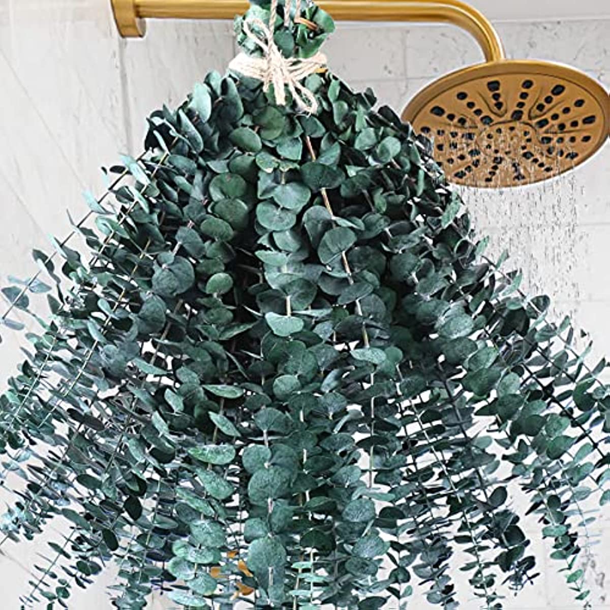 dried_flower - preserved_flower - fake_flower - 48PCS Large Dried Preserved Eucalyptus Stems 100% Natural Fresh Plant - Molly Garden - Molly_Garden_Floral