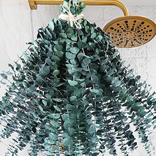 dried_flower - preserved_flower - fake_flower - 48PCS Large Dried Preserved Eucalyptus Stems 100% Natural Fresh Plant - Molly Garden - Molly_Garden_Floral