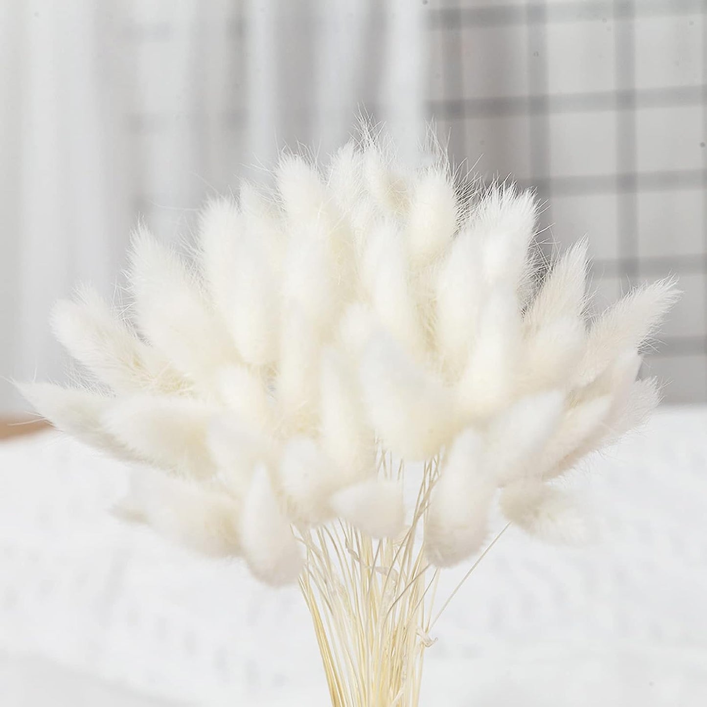 dried_flower - preserved_flower - fake_flower - 120Pcs Natural Dried Bunny Tail Grass Flowers for Home Decor & Floral Arrangements - Molly Garden - Molly_Garden_Floral