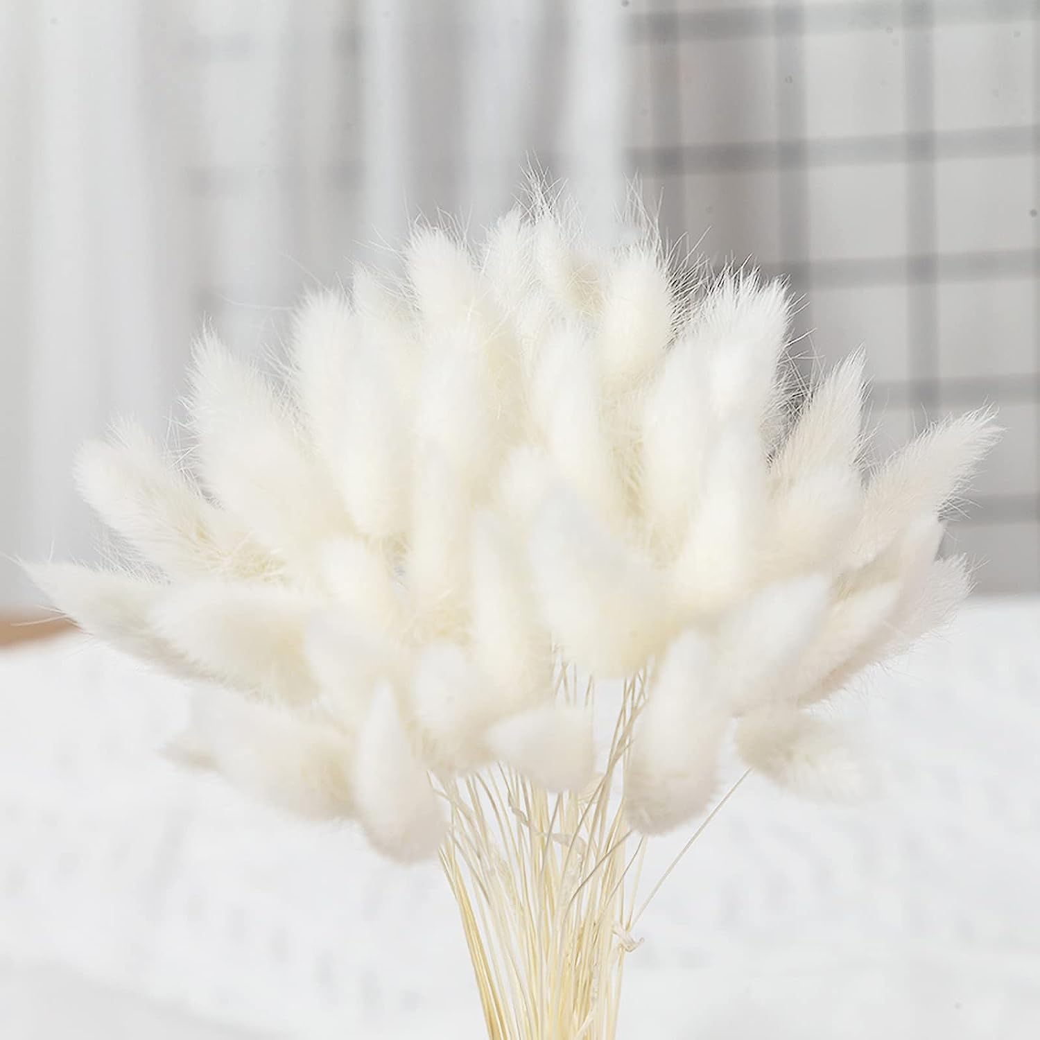 dried_flower - preserved_flower - fake_flower - 120Pcs Natural Dried Bunny Tail Grass Flowers for Home Decor & Floral Arrangements - Molly Garden - Molly_Garden_Floral