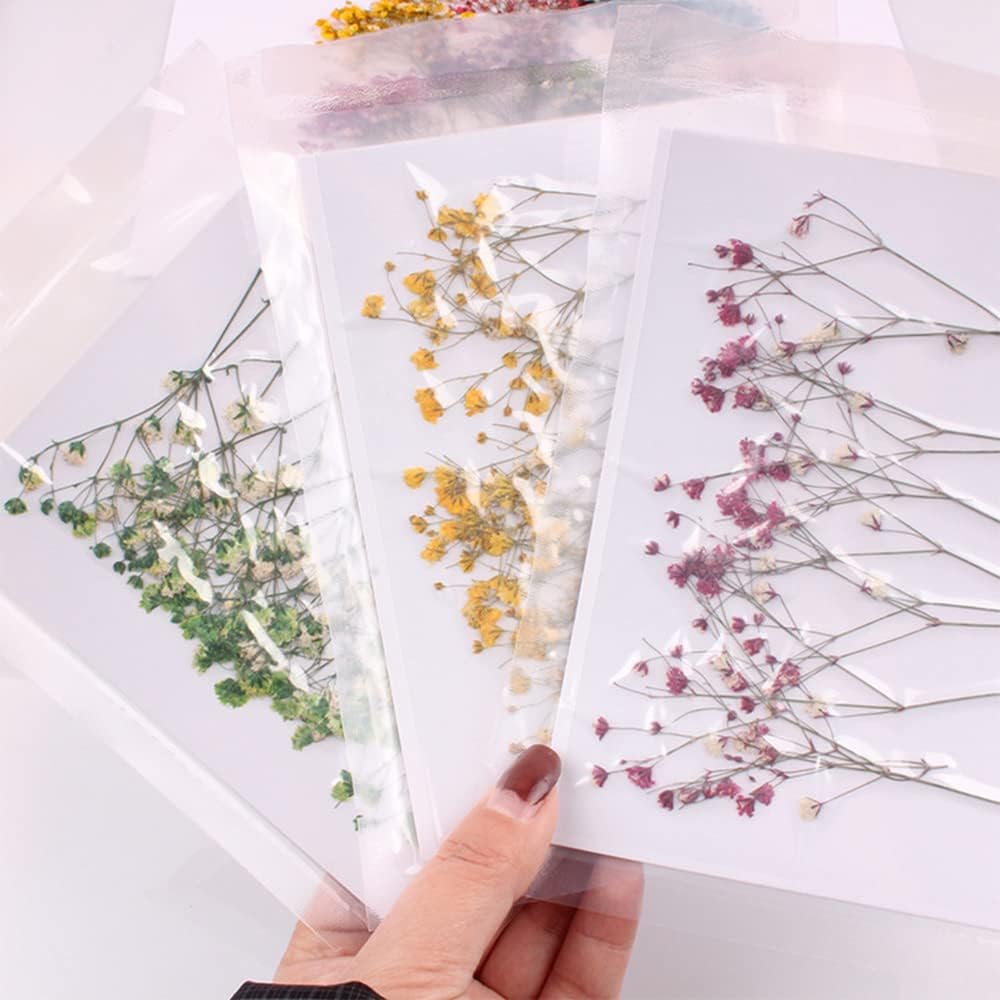 dried_flower - preserved_flower - fake_flower - 36Pcs Dried Pressed Babys Breath Flowers Nature Real Dry Pressing Floral for Resin - Molly Garden - Molly_Garden_Floral