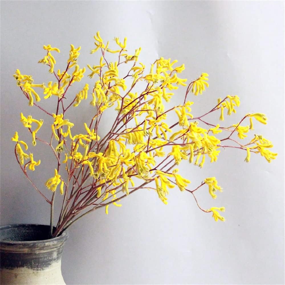 dried_flower - preserved_flower - fake_flower - Natural Dried Flowers Preserved Fresh Plant Color Wedding Home Decorations - Molly Garden - Molly_Garden_Floral