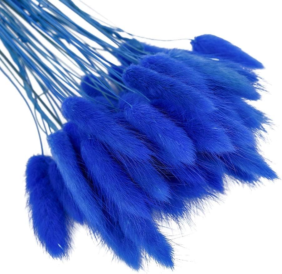 dried_flower - preserved_flower - fake_flower - 50Pcs Natural Dried Lagurus Ovatus Bouquet Rabbit Bunny Tail Pampas Grass - Molly Garden - Molly_Garden_Floral