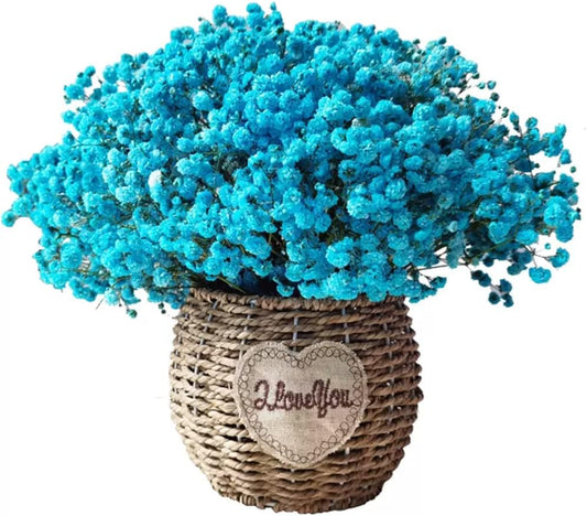 dried_flower - preserved_flower - fake_flower - Natural Air Dried Starry Dried Flower Bouquet with Stems Length 10-12'' - Molly Garden - Molly_Garden_Floral