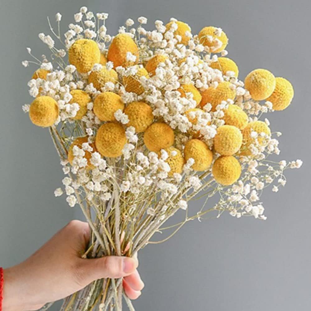 dried_flower - preserved_flower - fake_flower - 208Pcs Gypsophila Dried Flower Bouquet with 15Pcs Natural Yellow Billy Balls - Molly Garden - Molly_Garden_Floral