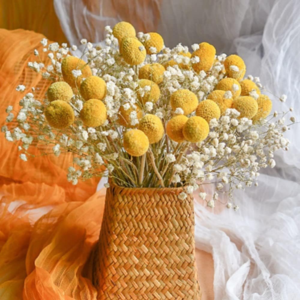 dried_flower - preserved_flower - fake_flower - 208Pcs Gypsophila Dried Flower Bouquet with 15Pcs Natural Yellow Billy Balls - Molly Garden - Molly_Garden_Floral