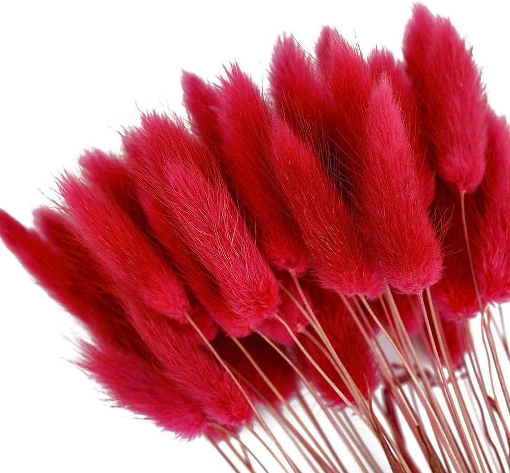 dried_flower - preserved_flower - fake_flower - 50Pcs Natural Dried Lagurus Ovatus Bouquet Rabbit Bunny Tail Pampas Grass - Molly Garden - Molly_Garden_Floral