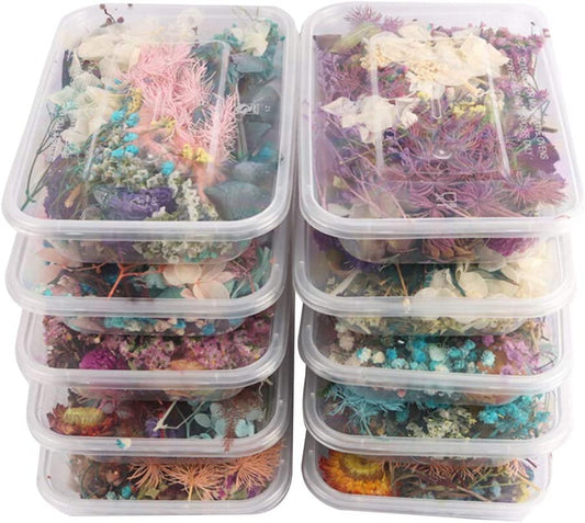 dried_flower - preserved_flower - fake_flower - 4Box Premium Dried Pressed Leaves and Flowers Dry Plants for Handmade - Molly Garden - Molly_Garden_Floral