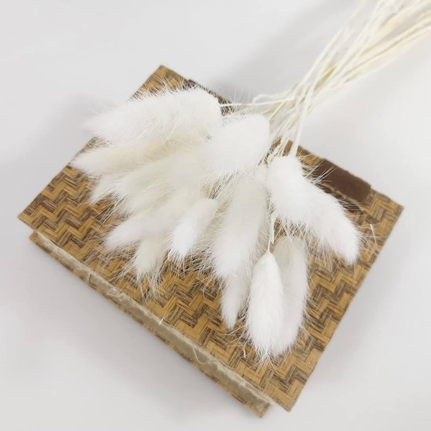 dried_flower - preserved_flower - fake_flower - 120Pcs Bunny Tails Dried Flowers Boho Home Decor Floral Arrangement Pampas - Molly Garden - Molly_Garden_Floral
