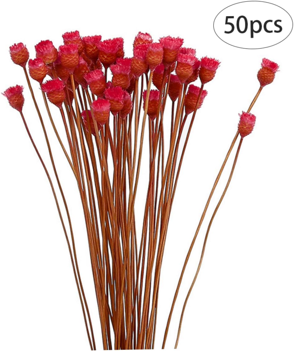 dried_flower - preserved_flower - fake_flower - 50Stems Red Dried Daisy Bouquet Dry Flowers Natural Floral Decoration - Molly Garden - Molly_Garden_Floral