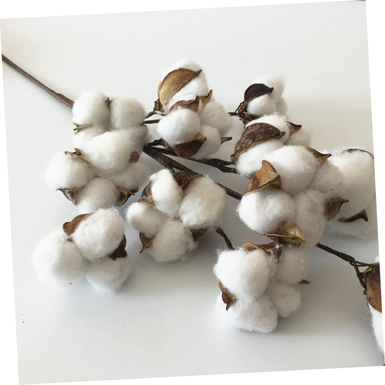 dried_flower - preserved_flower - fake_flower - 12Branches Plant Decorations Cotton Floral Pick White Decor Dried Flower Stems - Molly Garden - Molly_Garden_Floral