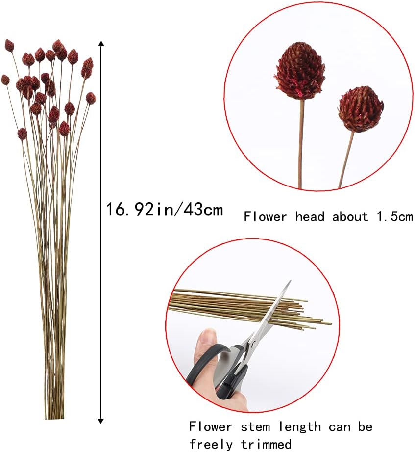 dried_flower - preserved_flower - fake_flower - 30Pcs Dried Flowers Bouquet Bulk Mini Floral Natural Dried Plants Handmade - Molly Garden - Molly_Garden_Floral