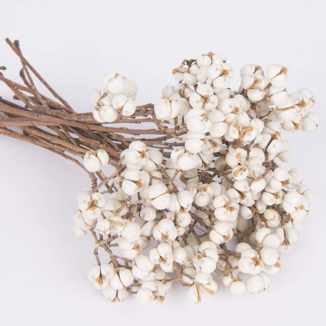 dried_flower - preserved_flower - fake_flower - Tallow Berries Dried Florwer Natural Stem Wedding Floral Décor Plants Bouquet - Molly Garden - Molly_Garden_Floral