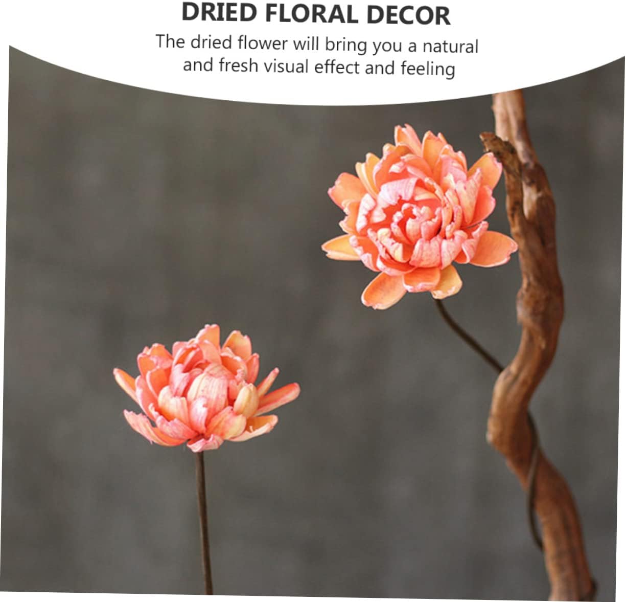 dried_flower - preserved_flower - fake_flower - 2Pcs Dried Flowers Decor Wedding Bouquets Plants Natural Preserved Florals - Molly Garden - Molly_Garden_Floral