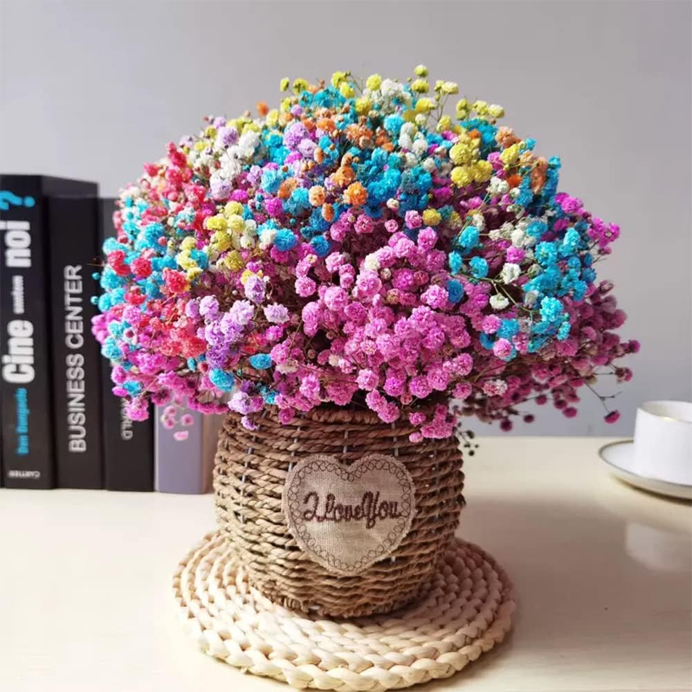 dried_flower - preserved_flower - fake_flower - Natural Air Dried Starry Dried Flower Bouquet with Stems Length 10-12'' - Molly Garden - Molly_Garden_Floral