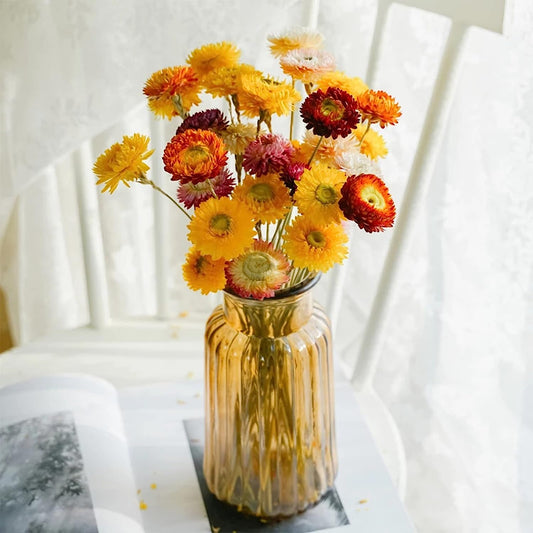 dried_flower - preserved_flower - fake_flower - 24Pcs Natural Dried Straw Flowers Daisy Multicolor Daisies Sunflowers Chrysanthemum - Molly Garden - Molly_Garden_Floral