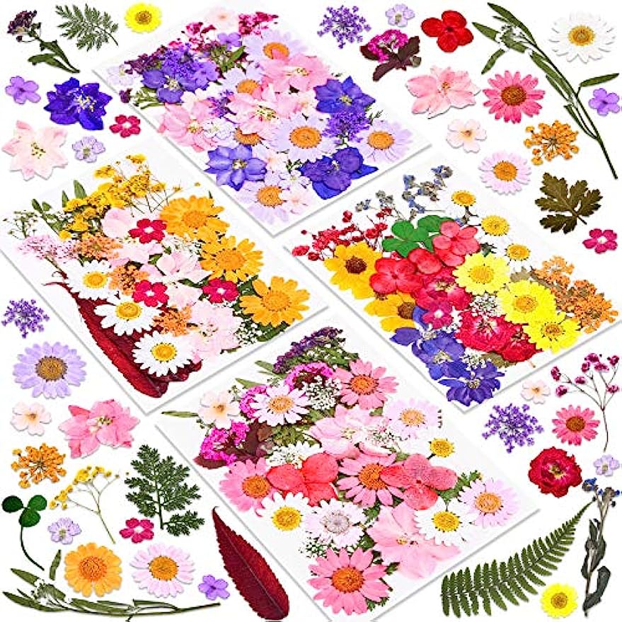 dried_flower - preserved_flower - fake_flower - 140Pcs Dried Pressed Flowers for Resin  Real Flowers Dry Leaves Bulk Natural Kit - Molly Garden - Molly_Garden_Floral