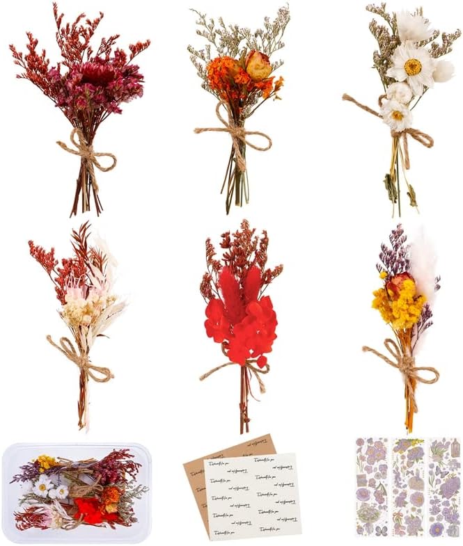dried_flower - preserved_flower - fake_flower - 6Pcs Mini Mixed Dried Flowers Bouquet with 3 Gold Foil Flower Stickers - Molly Garden - Molly_Garden_Floral