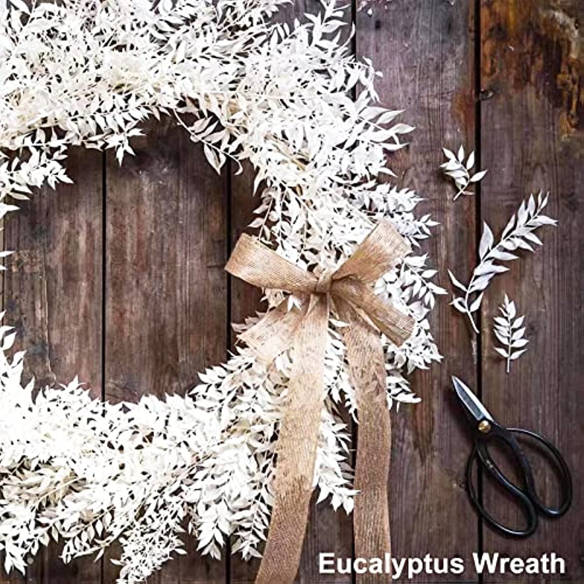 dried_flower - preserved_flower - fake_flower - 5Stems 16"Dried Real Eucalyptus White Italian Ruscus Natural Preserved Plant - Molly Garden - Molly_Garden_Floral