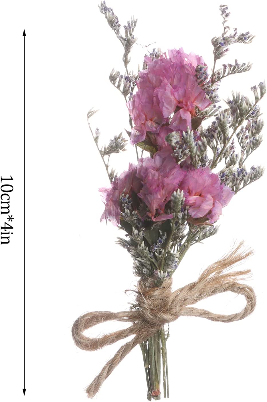 dried_flower - preserved_flower - fake_flower - 8Pcs Don't Forget Me Flower Bouquets Natural Dried Florals Myosotis Sylvatica - Molly Garden - Molly_Garden_Floral