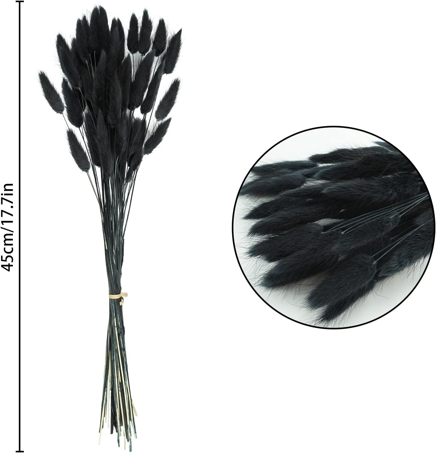 dried_flower - preserved_flower - fake_flower - 50Pcs Dried Lagurus Ovatus 17’’ Natural Bunny Tails Flowers Dried Pampas Grass - Molly Garden - Molly_Garden_Floral