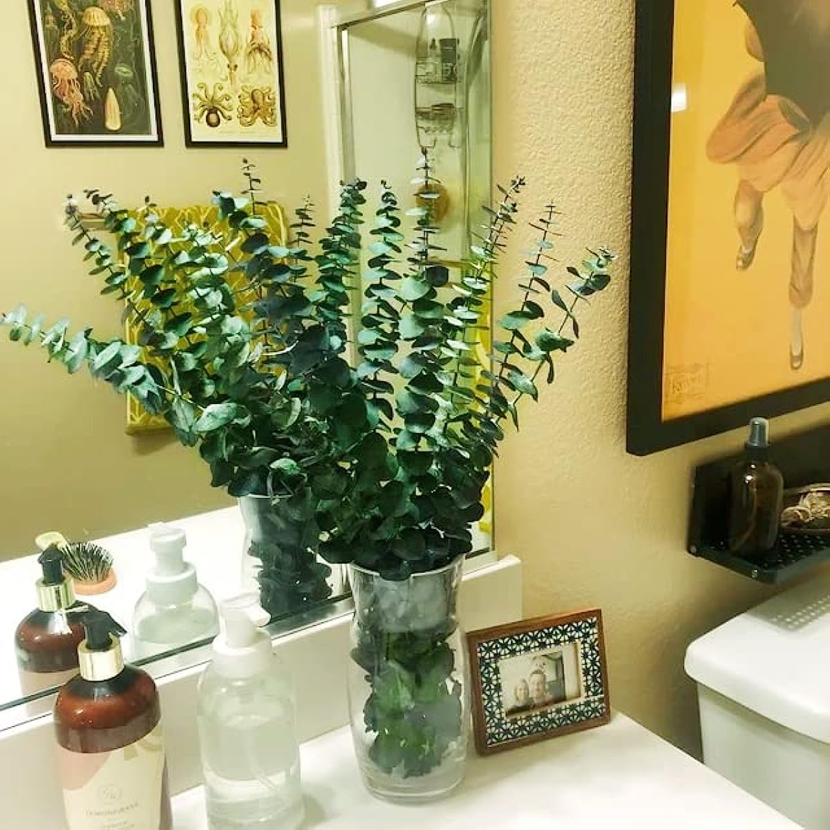 dried_flower - preserved_flower - fake_flower - 20Pcs Preserved Dried Eucalyptus Stems 17" Natural Fresh Branches for Shower - Molly Garden - Molly_Garden_Floral