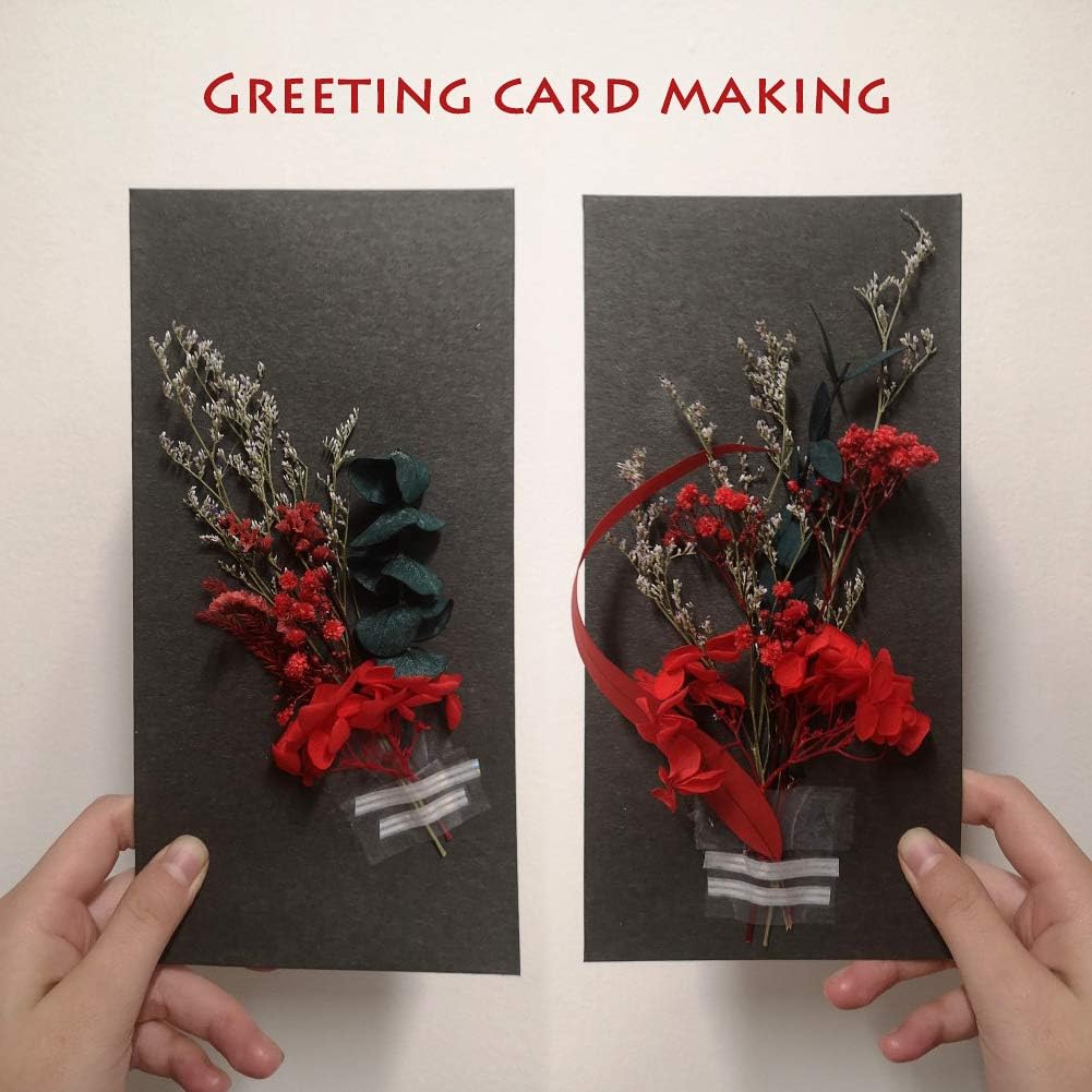 dried_flower - preserved_flower - fake_flower - Real Dried Leaf Flowers Plant Herbarium with Tweezers for Resin Molds Craft - Molly Garden - Molly_Garden_Floral