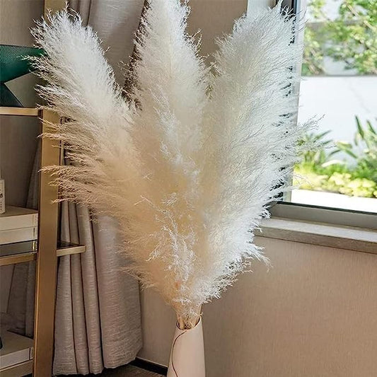 dried_flower - preserved_flower - fake_flower - Extra Large White Dried Pampas Grass 3 to 4ft Dry Flowers Boho Home Decor - Molly Garden - Molly_Garden_Floral