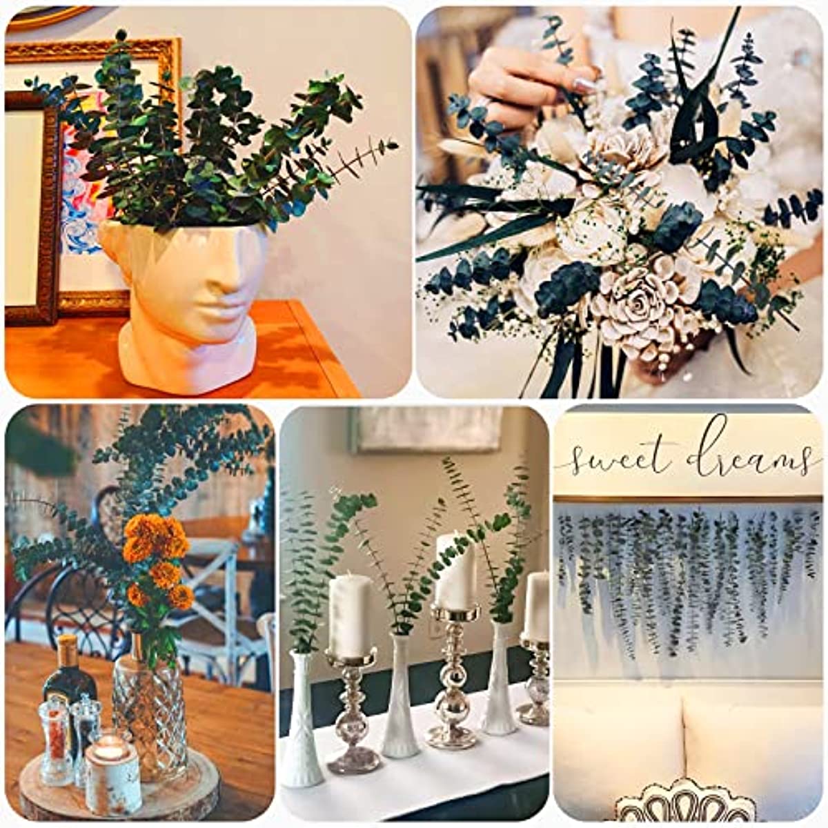 dried_flower - preserved_flower - fake_flower - 16Pcs Preserved Dried Eucalyptus Branches for Vase Filler Floral Home Decor - Molly Garden - Molly_Garden_Floral