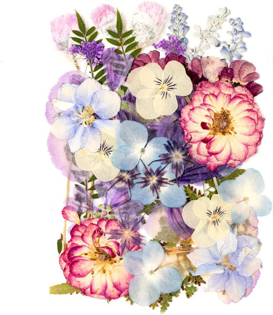 dried_flower - preserved_flower - fake_flower - 35+Pcs Flowers for Resin Model Real Pressed Dry Leaves Bulk Natural Herbs Kit - Molly Garden - Molly_Garden_Floral