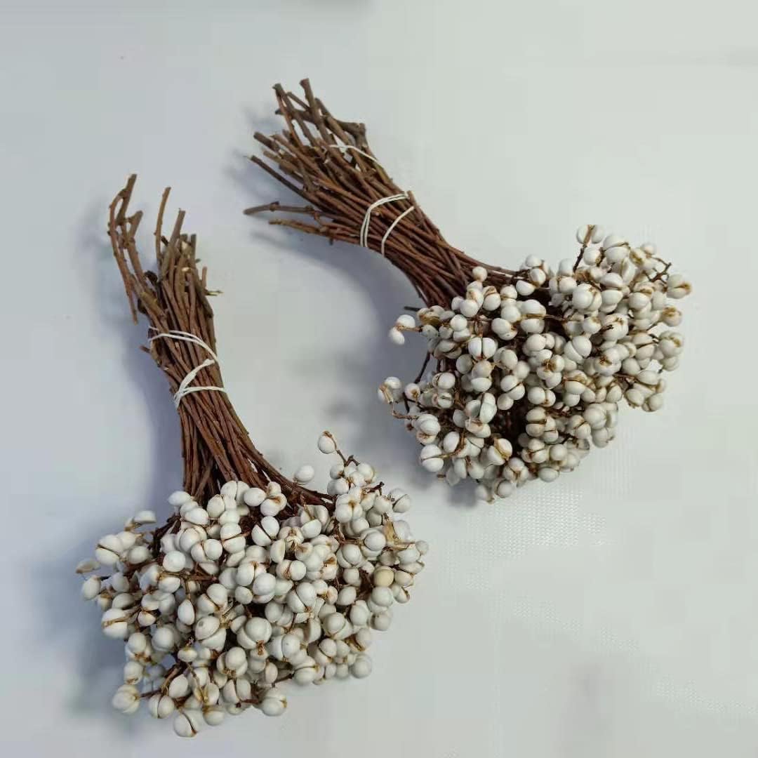 dried_flower - preserved_flower - fake_flower - Tallow Berries Dried Florwer Natural Stem Wedding Floral Décor Plants Bouquet - Molly Garden - Molly_Garden_Floral