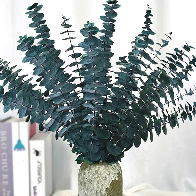 dried_flower - preserved_flower - fake_flower - 16Pcs Preserved Dried Eucalyptus Branches for Vase Filler Floral Home Decor - Molly Garden - Molly_Garden_Floral