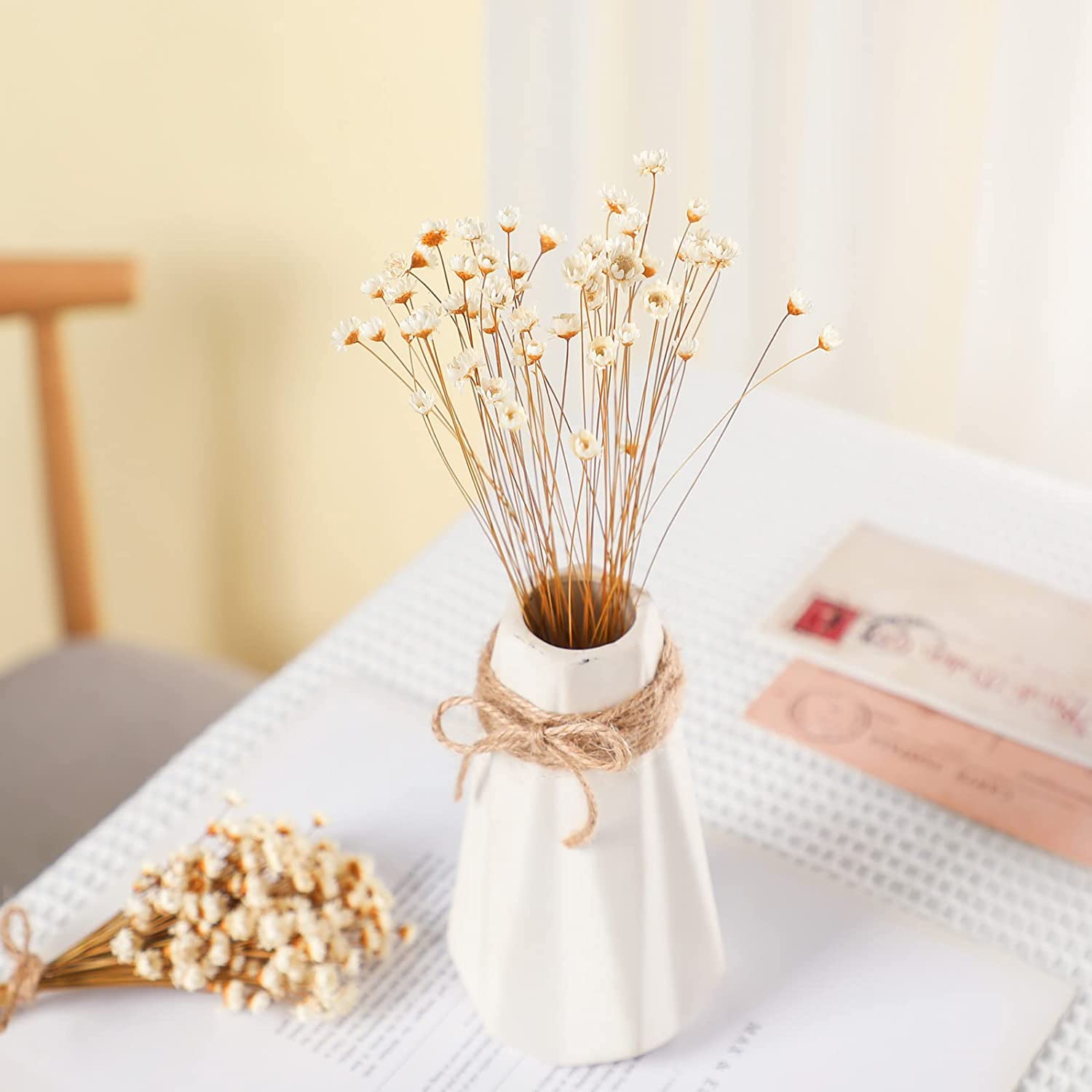 dried_flower - preserved_flower - fake_flower - 200Pcs Natural Dry Flowers Brazilian Small Star Daisy Dried Mini Chamomile Bouquet - Molly Garden - Molly_Garden_Floral