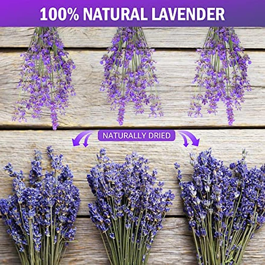 dried_flower - preserved_flower - fake_flower - 2Pack Bundles Dried Lavender Bundles Flowers 100% Natural for Home Decoration - Molly Garden - Molly_Garden_Floral
