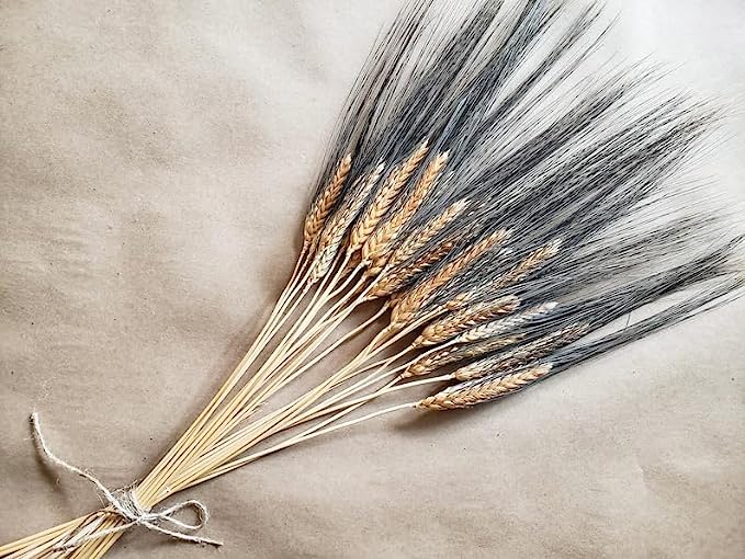 dried_flower - preserved_flower - fake_flower - 25Pcs Dried Black Bearded Wheat Bundle Fall Decoration Tropical Home Decor - Molly Garden - Molly_Garden_Floral