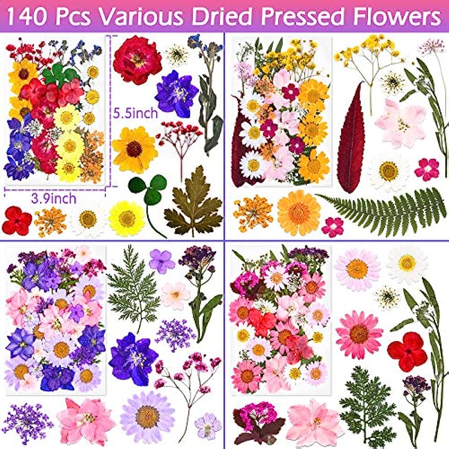 dried_flower - preserved_flower - fake_flower - 140Pcs Dried Pressed Flowers for Resin  Real Flowers Dry Leaves Bulk Natural Kit - Molly Garden - Molly_Garden_Floral