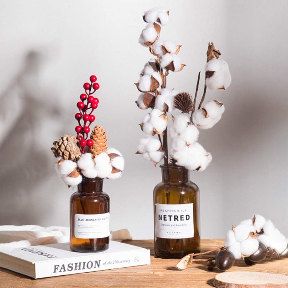 dried_flower - preserved_flower - fake_flower - Cotton Stems Natural Dried Plant 8Packs Total 15 Balls Spring Blooms Floral - Molly Garden - Molly_Garden_Floral