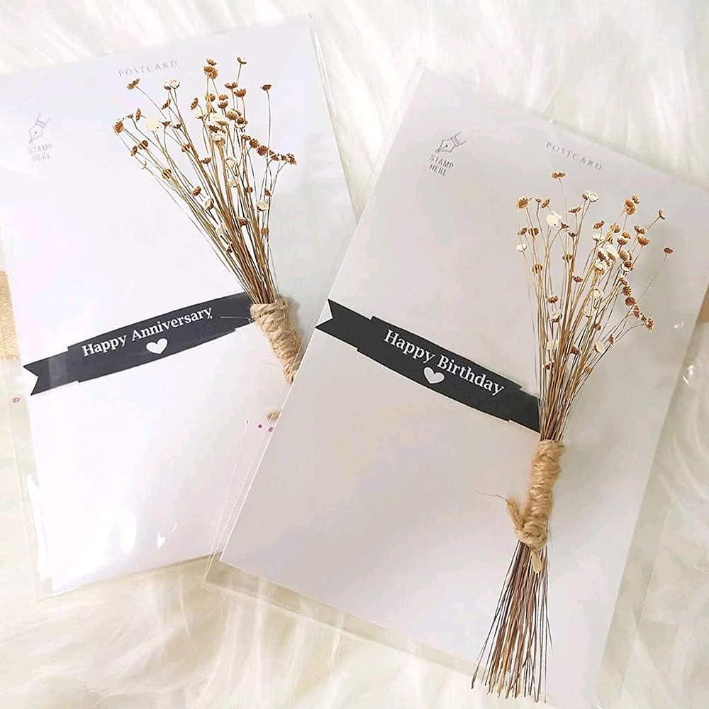dried_flower - preserved_flower - fake_flower - 210Pcs Natural Dried Bouquet Stems 16" Dry Flowers Brazilian Small Star Daisy - Molly Garden - Molly_Garden_Floral