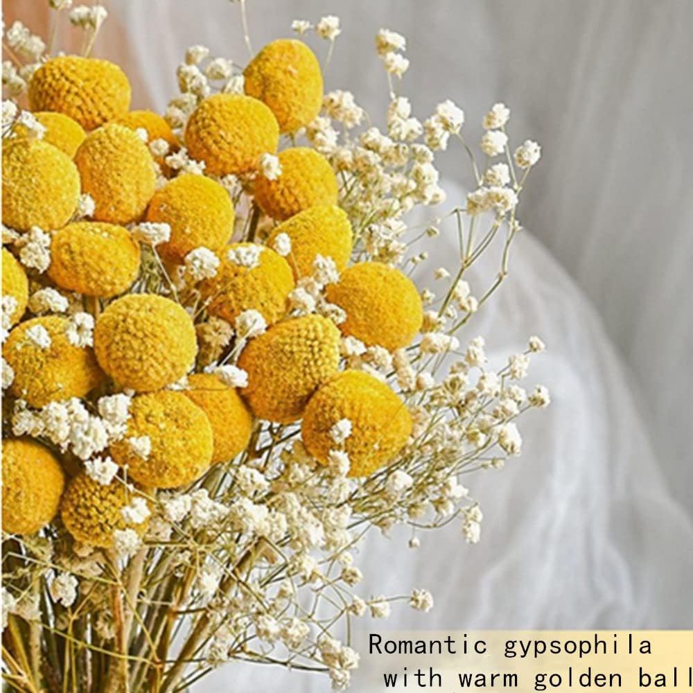 dried_flower - preserved_flower - fake_flower - 208Pcs Gypsophila Dried Flower Bouquet with 15Pcs Natural Yellow Billy Balls - Molly Garden - Molly_Garden_Floral